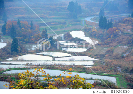 伝統の越後松代棚田群 伝統の越後松代棚田群 81926850