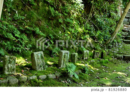 白毫寺　(石仏の道)　【奈良県奈良市白毫寺町】 81926880