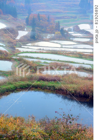 伝統の越後松代棚田群 伝統の越後松代棚田群 81926892