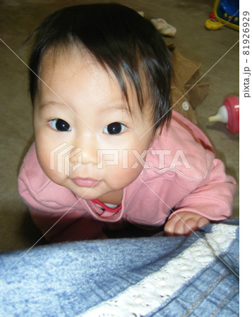 生後9ヶ月の赤ちゃん 生後9ヶ月の赤ちゃん 81926929