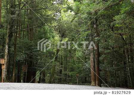 伊勢神宮内宮　参道 81927629