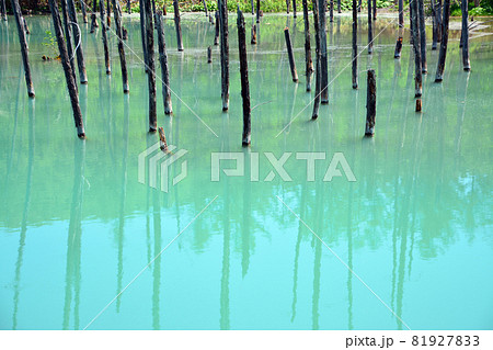 魅惑的なコロイドブルーの池 魅惑的なコロイドブルーの池 81927833