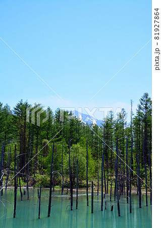 魅惑的なコロイドブルーの池 魅惑的なコロイドブルーの池 81927864