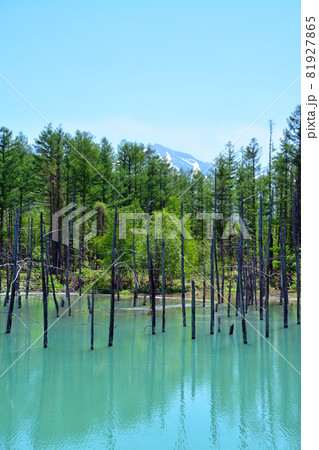 魅惑的なコロイドブルーの池 魅惑的なコロイドブルーの池 81927865