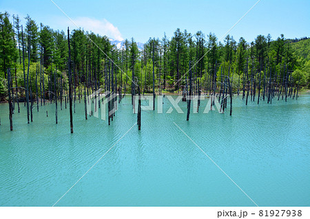 魅惑的なコロイドブルーの池 魅惑的なコロイドブルーの池 81927938