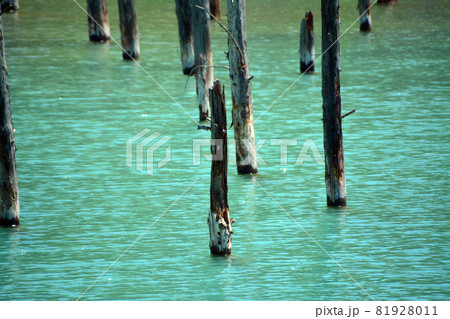 魅惑的なコロイドブルーの池 81928011