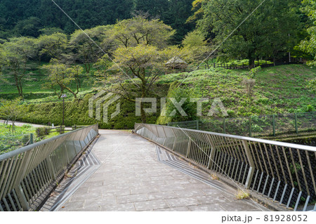 築井公園橋（津久井湖城山公園） 81928052