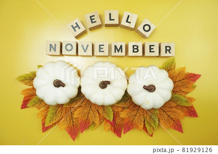 Hello November alphabet letter with pumpkin and maple leaves decoration on yellow background 81929126