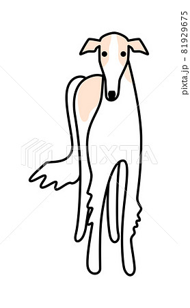 Borzoi front facing - Stock Illustration [81929675] - PIXTA