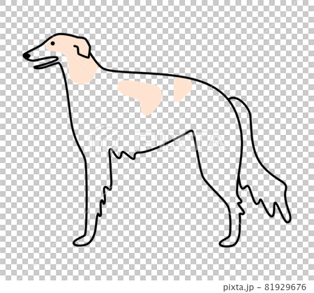獵狼犬側身 81929676