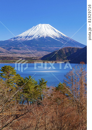 本栖湖で眺める冬の富士山 山梨県身延町にて 本栖湖で眺める冬の富士山 山梨県身延町にて 81929716