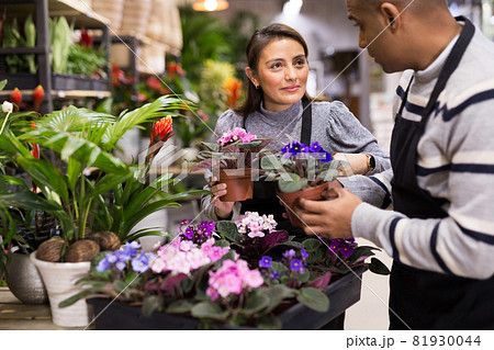 Flower shop employees take care of flowers together Flower shop employees take care of flowers together 81930044