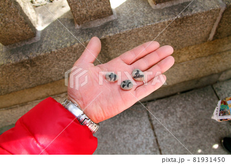 大阪の住吉大社での願掛け 大阪の住吉大社での願掛け 81931450