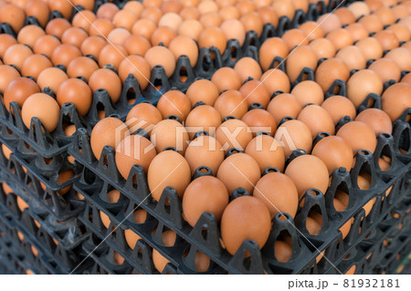 fresh eggs in black plastic tray for sale on market. Egg panels arranged on a chicken farm fresh eggs in black plastic tray for sale on market. Egg panels arranged on a chicken farm 81932181