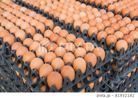 fresh eggs in black plastic tray for sale on market. Egg panels arranged on a chicken farm 81932182