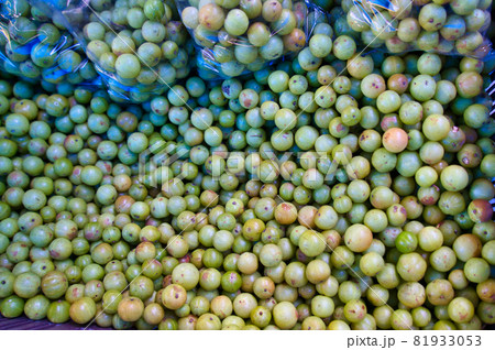 Fresh green Amla (Indian gooseberry) fruit from the local market. Fresh green Amla (Indian gooseberry) fruit from the local market. 81933053