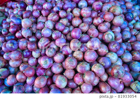 Piles of purple onions(red onions) ready for sale. Piles of purple onions(red onions) ready for sale. 81933054
