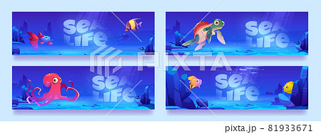 Sea life posters with fish, octopus and turtle 81933671