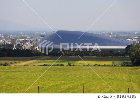 札幌　羊ヶ丘展望台　羊 81934385