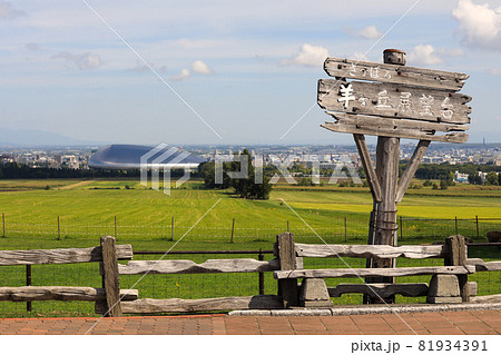 札幌 羊ヶ丘展望台 羊 札幌 羊ヶ丘展望台 羊 81934391