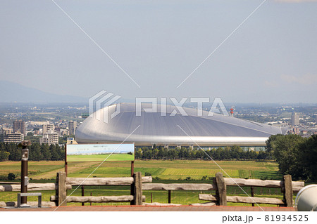 札幌 羊ヶ丘展望台 羊 札幌 羊ヶ丘展望台 羊 81934525