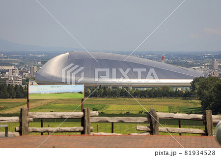 札幌 羊ヶ丘展望台 羊 札幌 羊ヶ丘展望台 羊 81934528