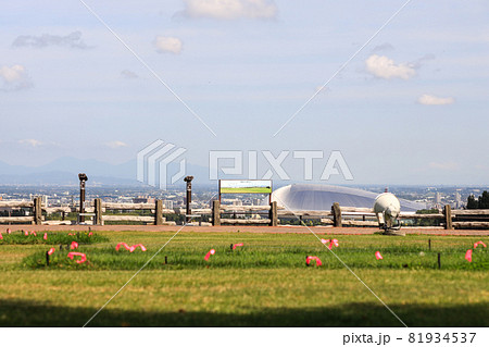 札幌 羊ヶ丘展望台 羊 札幌 羊ヶ丘展望台 羊 81934537