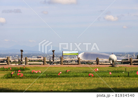 札幌　羊ヶ丘展望台　羊 81934540