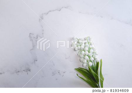 鈴蘭・すずらん・スズランの花。コピースペース有りの白背景 鈴蘭・すずらん・スズランの花。コピースペース有りの白背景 81934609