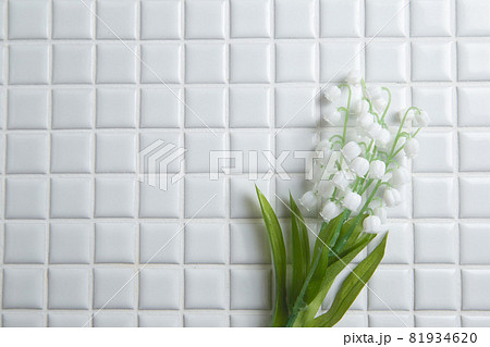 鈴蘭 すずらん スズランの花 コピースペース有りの白背景 白いタイル の写真素材