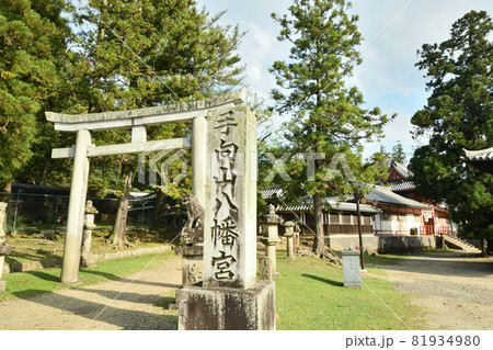 手向山八幡宮 【奈良県奈良市雑司町】 手向山八幡宮 【奈良県奈良市雑司町】 81934980