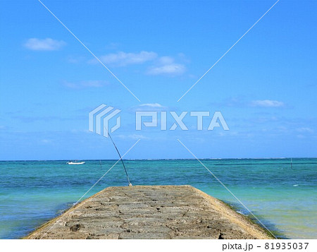 沖縄の海　2021 81935037