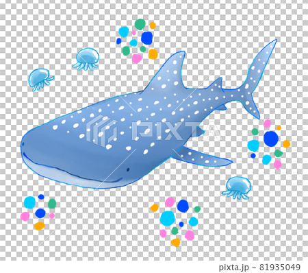 ジンベエザメ 81935049