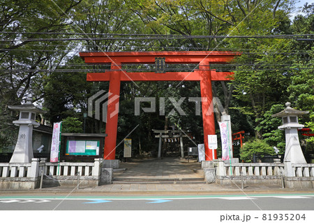 世田谷八幡宮の鳥居 81935204