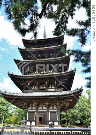 興福寺　(五重塔)　【奈良県奈良市】 81935208