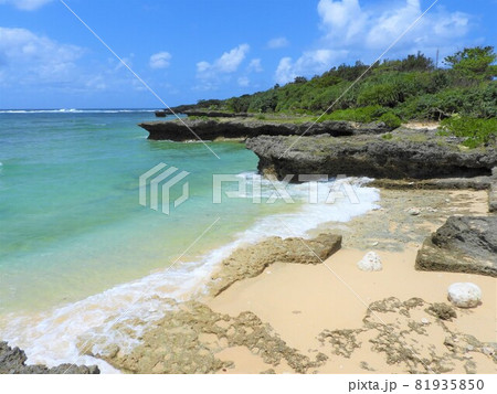 沖縄の海 2021 沖縄の海 2021 81935850
