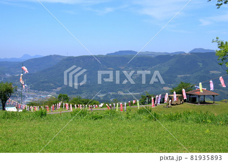 伐株山こいのぼり 81935893