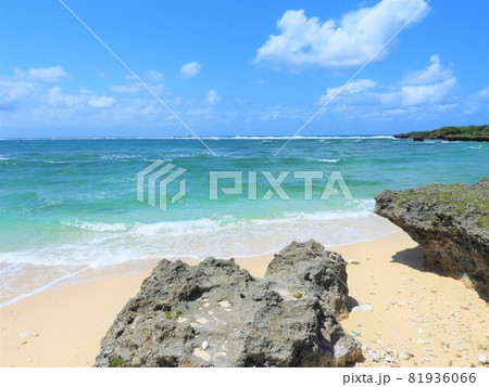 沖縄の海　2021 81936066