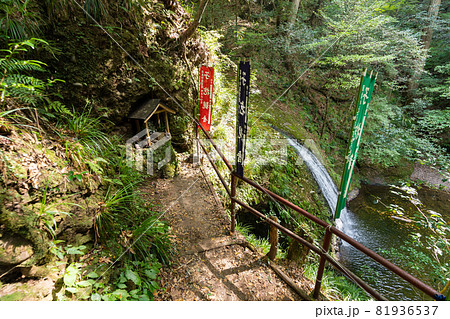 【愛知県】 阿寺の七滝 【愛知県】 阿寺の七滝 81936537