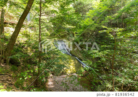 【愛知県】　阿寺の七滝 81936542