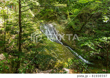【愛知県】　阿寺の七滝 81936597