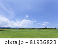 芝生と向日葵の風景 81936823