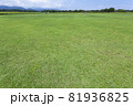 芝生と向日葵の風景 81936825
