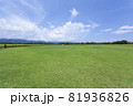 芝生と向日葵の風景 81936826