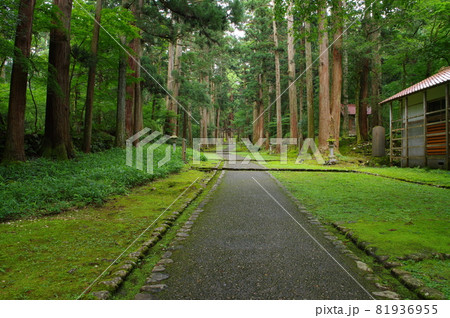 白山平泉寺 参道 白山平泉寺 参道 81936955