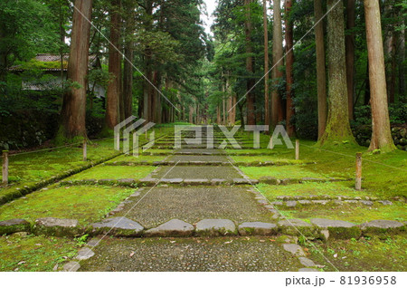 白山平泉寺 参道 白山平泉寺 参道 81936958