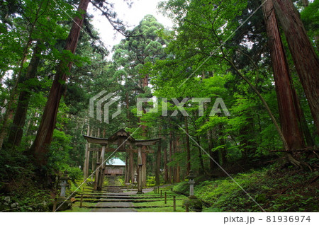 白山平泉寺　二の鳥居と拝殿 81936974