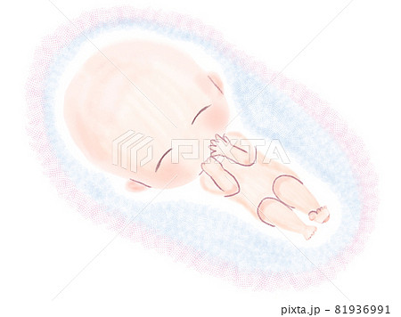 かわいい胎児の水彩イラスト 背景あり のイラスト素材