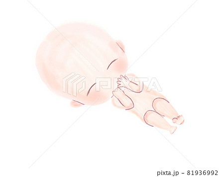 かわいい胎児の水彩イラスト かわいい胎児の水彩イラスト 81936992