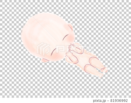 かわいい胎児の水彩イラスト かわいい胎児の水彩イラスト 81936992